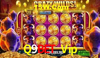 Q9Bet Vip